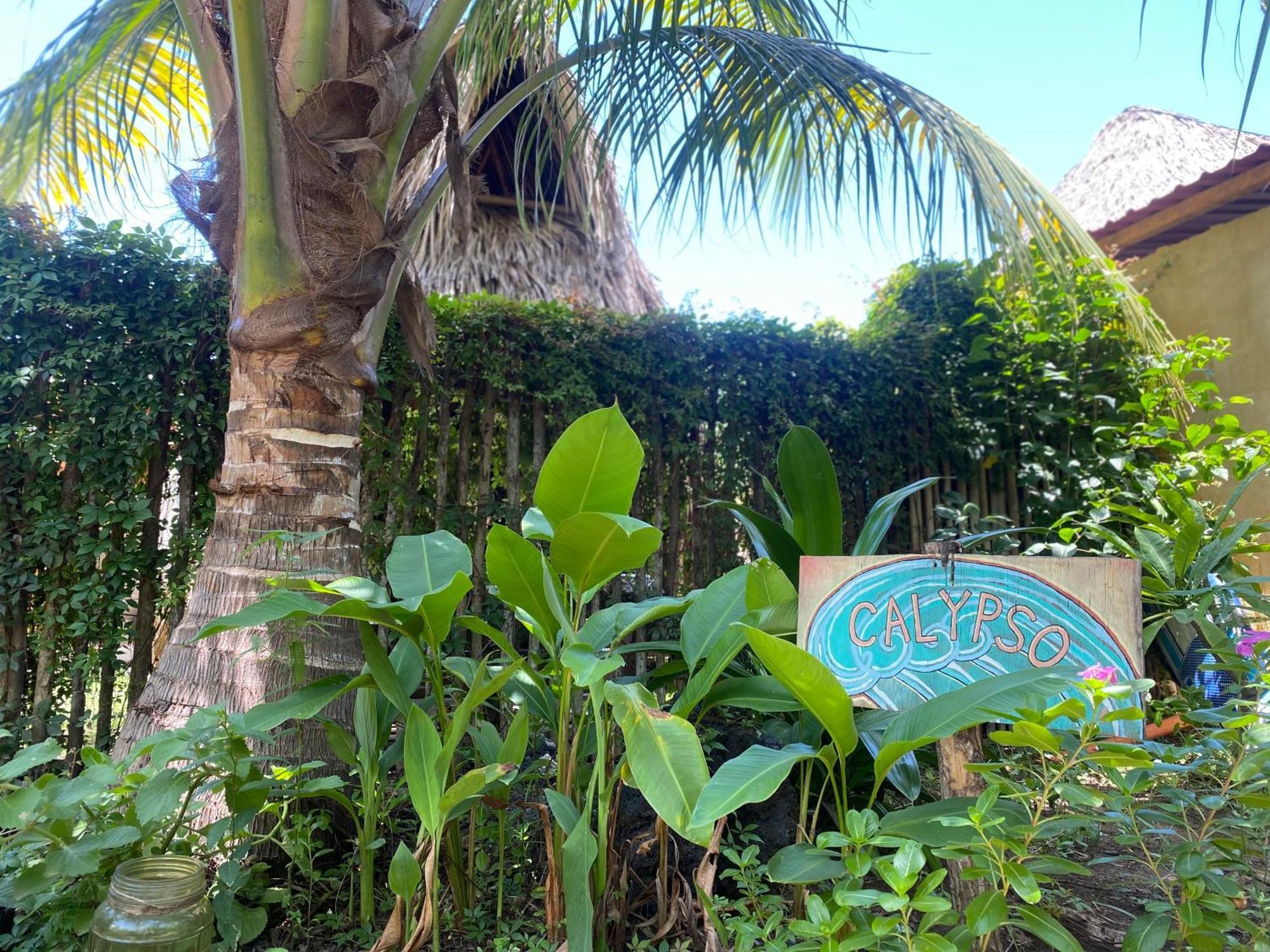 Calypso Cabanas El Paredón Buena Vista Exterior photo